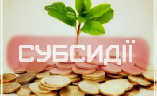 ВИ ПРО ЦЕ ЗАПИТУВАЛИ. Що буде із субсидіями?