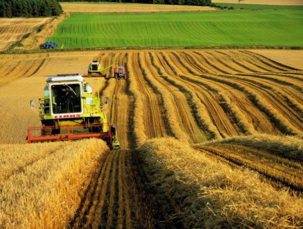 Створенню нових робочих місць – державну підтримку  