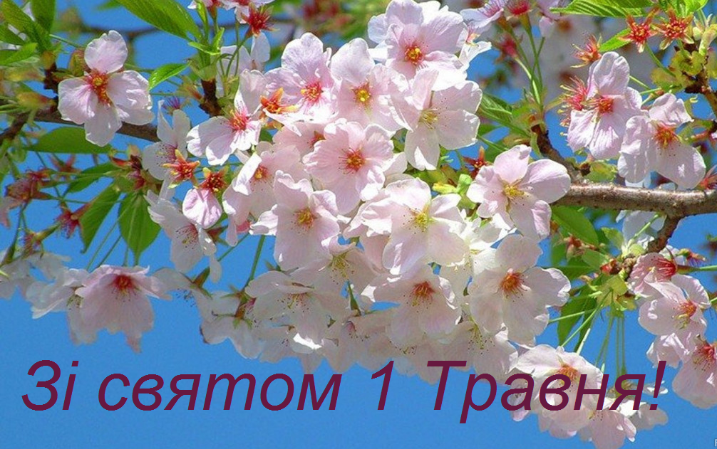 Вітаємо з Першотравнем!