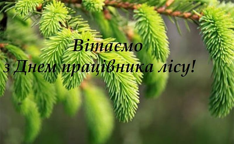 Вітання спілчанам від Профспілки працівників лісових галузей України