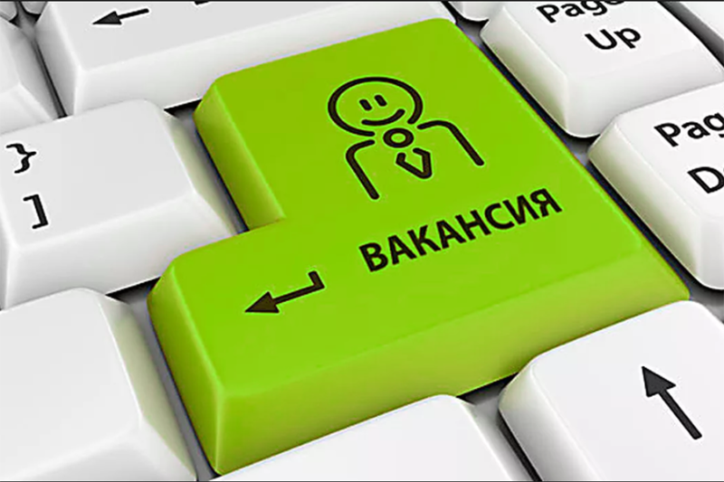 За період карантину працевлаштовано 222 тис. громадян, 46% від них – у сфері сільського господарства