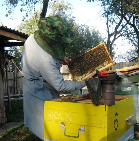 bdzhola bdzhil Mezyn 02
