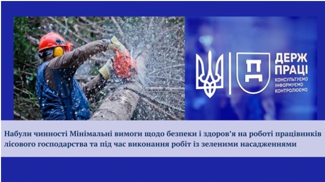 Затверджено Мінімальні вимоги щодо безпеки і здоров’я на роботі працівників лісового господарства