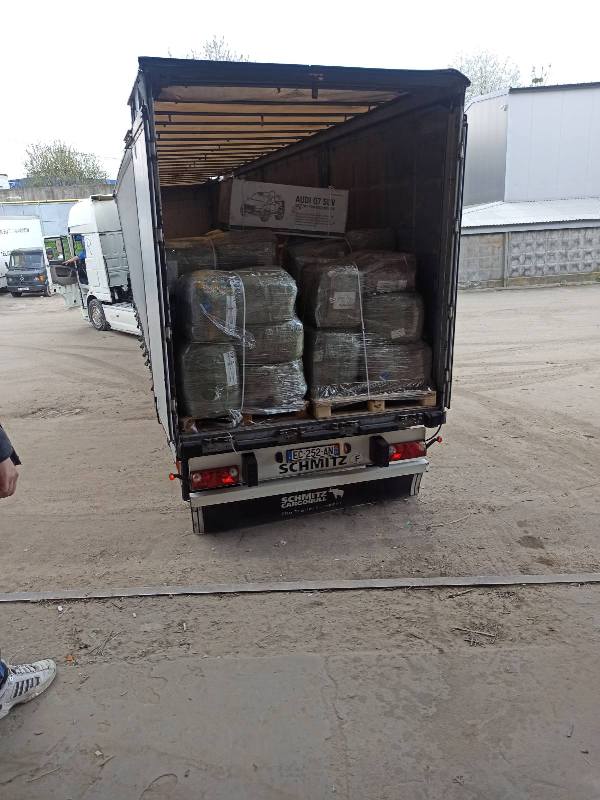 280235605 3692693414339319 4843758608279732390 n
