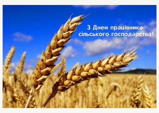 17 листопада - День працівників сільського господарства України