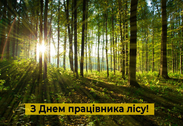 Привітання з професійним святом – Днем працівника лісу 21 вересня