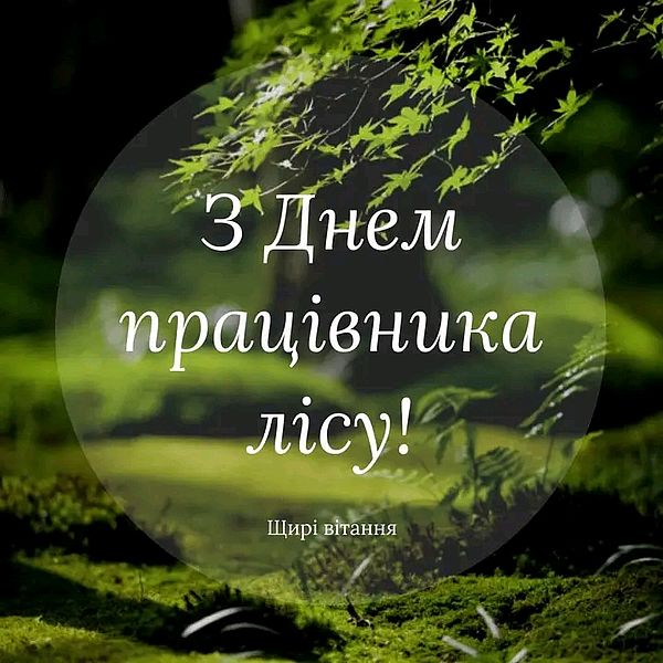 Привітання Голови Федерації профспілок України Сергія Бизова з Днем працівника лісу