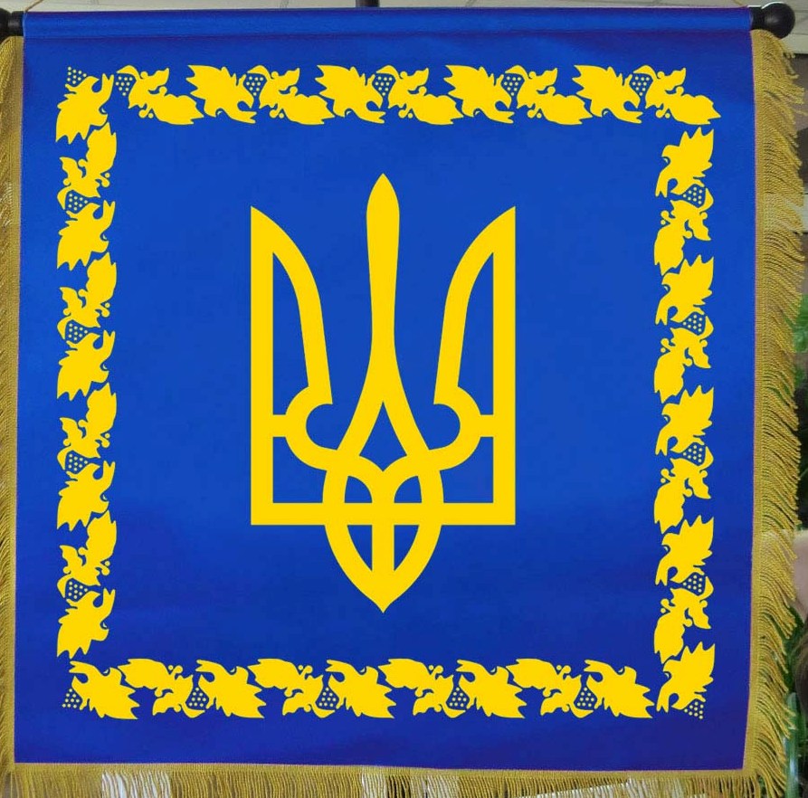 Щодо функціонування Національної тристоронньої соціально-економічної ради